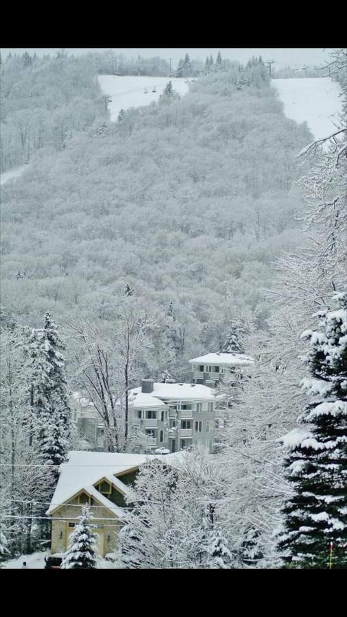 Ski-In, Ski-Out Chaleureux Studio Loft Au Pied Des Pistes De Ski Apartment Stoneham Bagian luar foto
